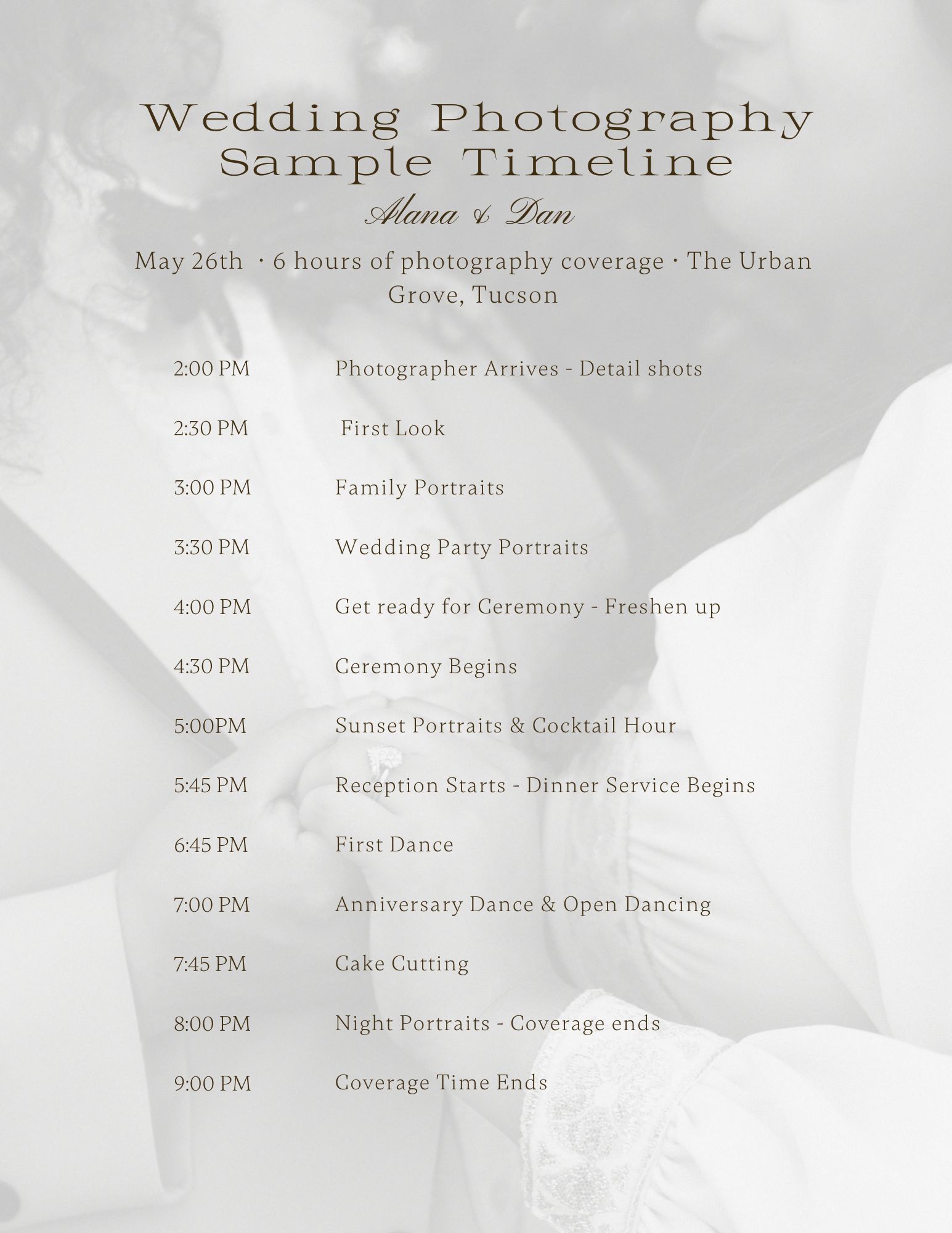 Sample Timeline Graphic for A&D's wedding 